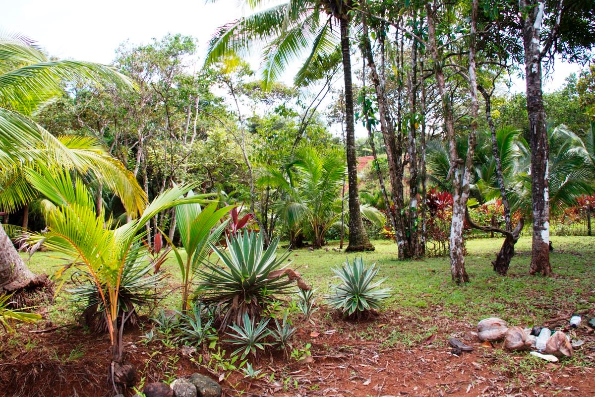 Jardines de Camino del Sol